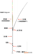 钓鱼什么是主线和子线，钓鱼教程:什么是主线和子线的区别