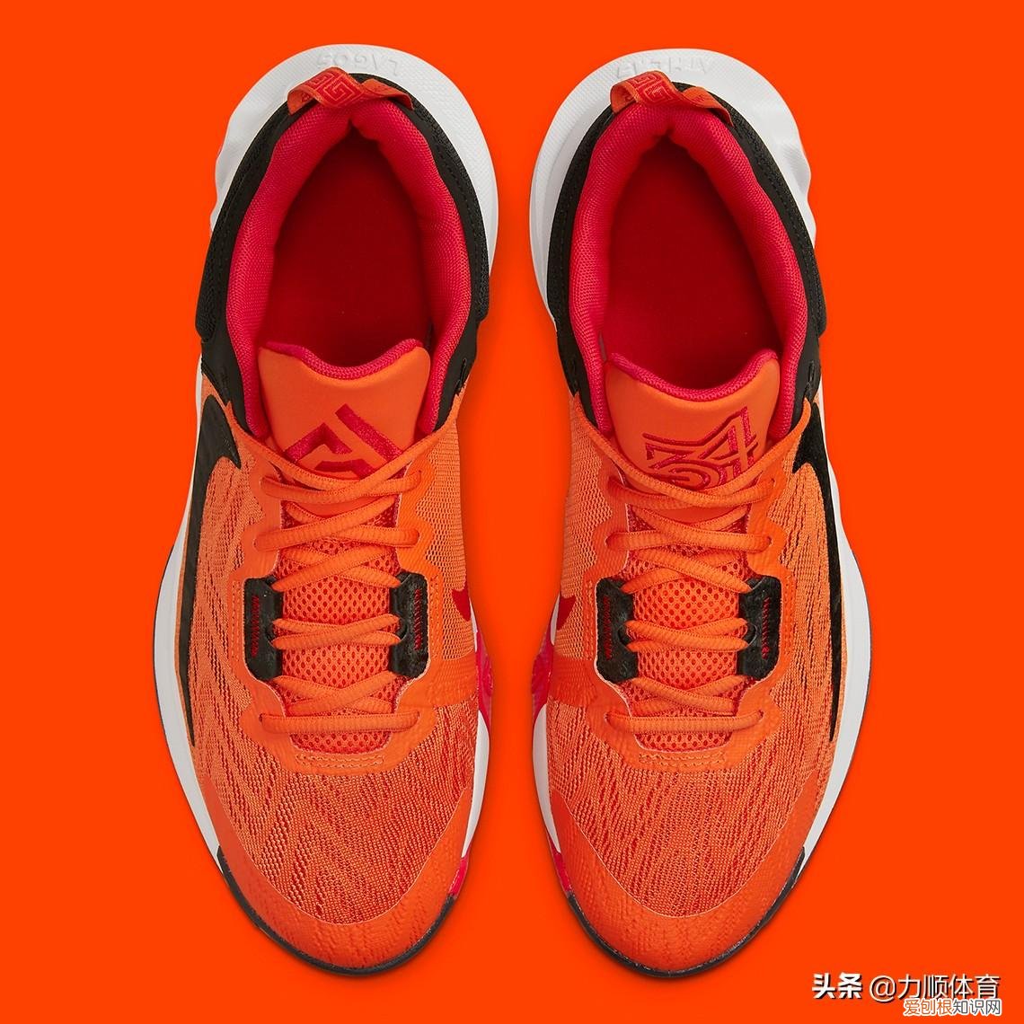 Nike Giannis Immortality 2测评