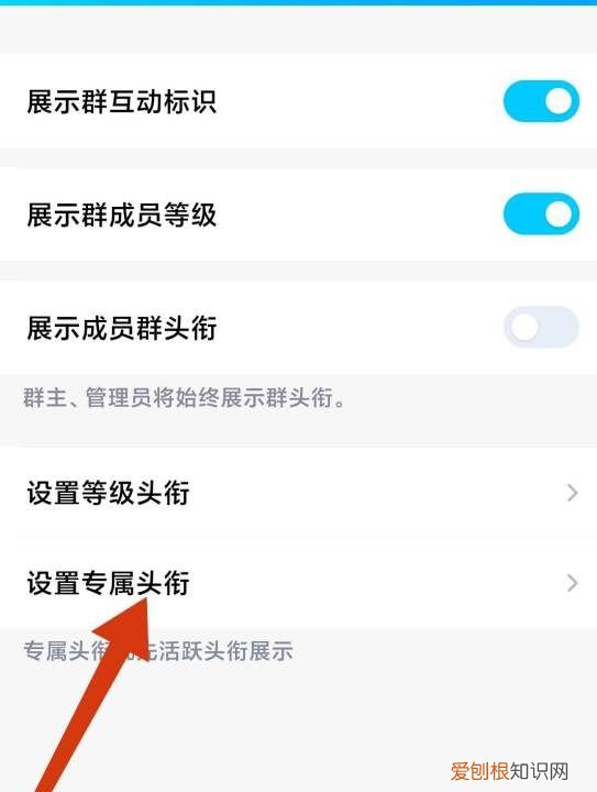 怎样设置qq群头衔，qq群怎么改头衔名字