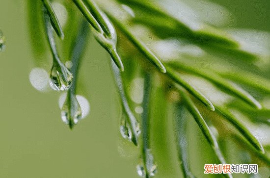 2023苏州什么时候入梅什么时候出梅 2023苏州梅雨季节时间表