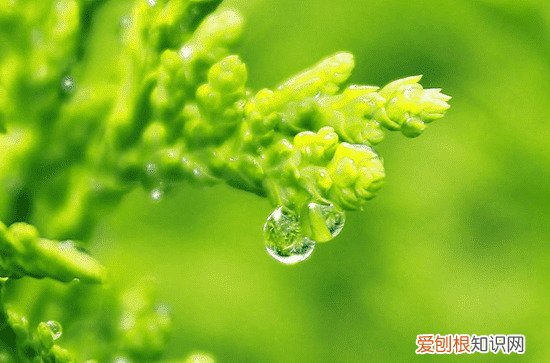 2023年几号入梅 2023年几号出梅