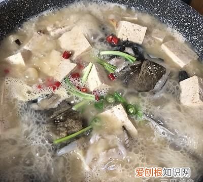 鱼头豆腐汤的做法,鱼头豆腐汤的做法小孩子