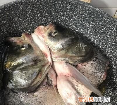 鱼头豆腐汤的做法,鱼头豆腐汤的做法小孩子