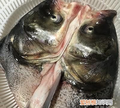 鱼头豆腐汤的做法,鱼头豆腐汤的做法小孩子