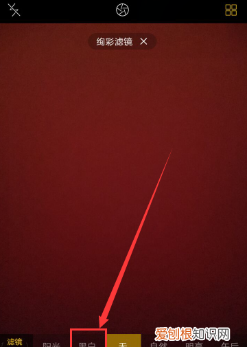 怎么使用黑白滤镜，ps怎么添加黑白滤镜