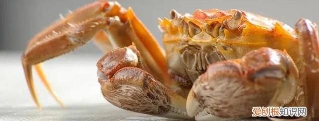 刚死的螃蟹能吃吗哪些部位不能吃