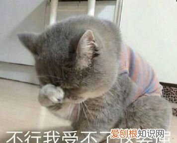 七夕甜蜜指南看过来