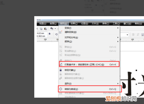 cdr该怎么样才可以水平翻转