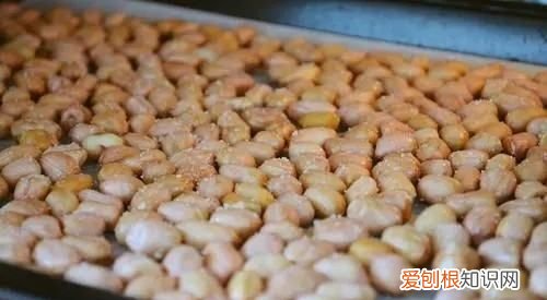 烤箱怎么烤带壳花生，烤箱转笼烤花生多少温度时间合适