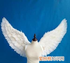 怎么制作抖音翅膀效果,抖音怎么拍天使的翅膀特效