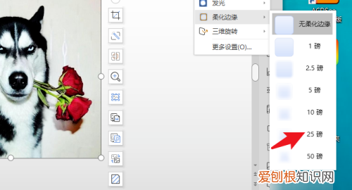 ppt如何把融入背景，两个PPT怎么融合在一起