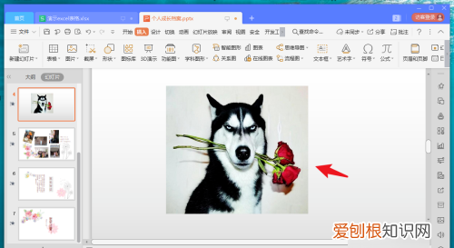 ppt如何把融入背景，两个PPT怎么融合在一起