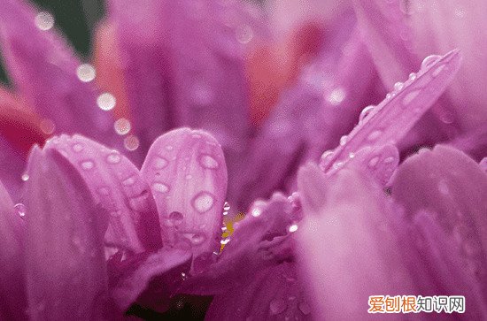 梅雨季节是什么时间2023 今年梅雨是什么时候