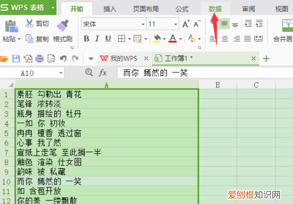 excel如何分列单元格里面的内容