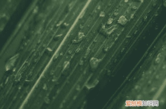 2023年梅雨季节是哪几天