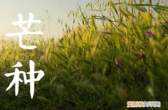 今年芒种是几月几日2023