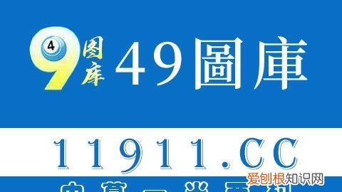 网页怎样保存到本地，网页的视频怎么下载到本地