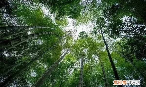 为什么夏养阳冬养阴，如何理解春夏养阳秋冬养阴