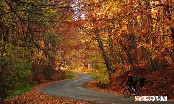 为什么夏养阳冬养阴，如何理解春夏养阳秋冬养阴