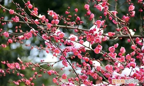 为什么夏养阳冬养阴，如何理解春夏养阳秋冬养阴