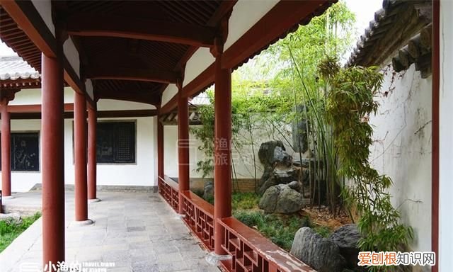 2020樱花开放时间表西安青龙寺 西安青龙寺大美樱花如约而至