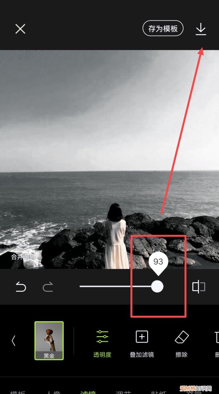 黑白滤镜怎么使用，摄影机怎么设置黑白模式手机