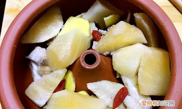 雪莲果排骨汤的做法，雪莲果能煲排骨汤吗