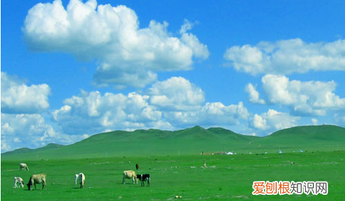 敕勒歌古诗诵读视频，敕勒歌点睛之笔是哪一句