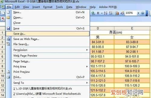 excel表格复制到word后如何调整格式