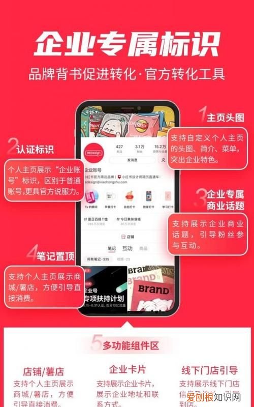 小红书企业号怎么注册，小红书专业号怎么申请不了