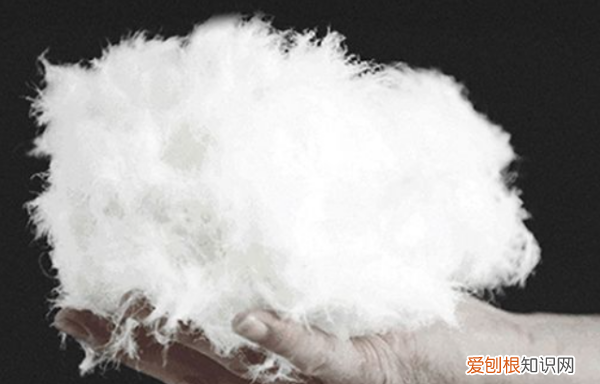 充绒量80是什么意思，充绒量90％是什么意思