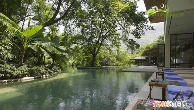 来重庆旅游必去的几大景点有哪些