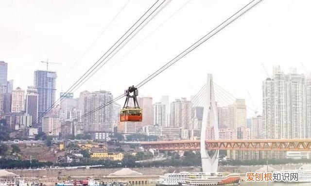 来重庆旅游必去的几大景点有哪些