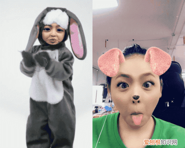 一款“换脸”软件,想玩的试试吧