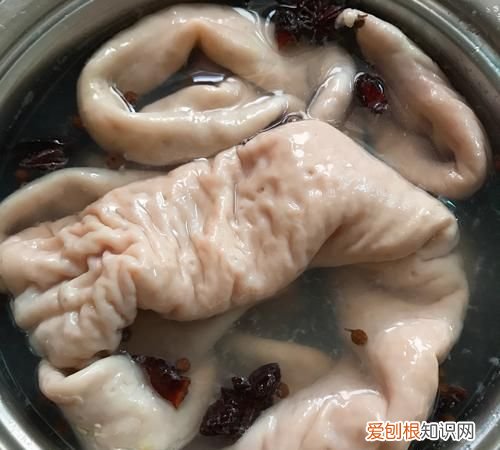 蒜蓉猪大肠的做法，酸辣大肠汤的家常做法窍门