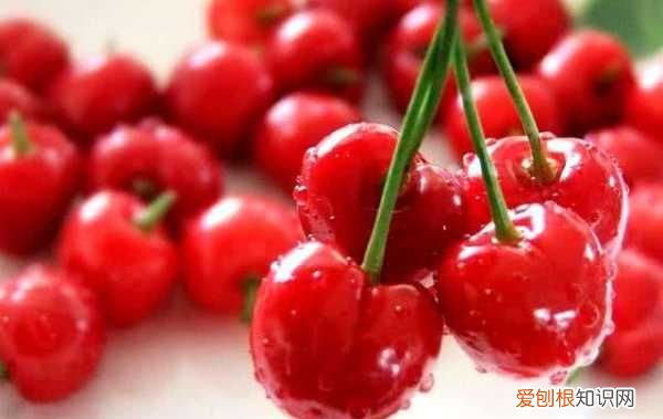 本土樱桃和车厘子对比,车厘子和樱桃的营养价值一样
