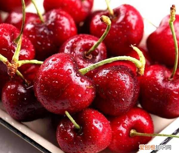 本土樱桃和车厘子对比,车厘子和樱桃的营养价值一样