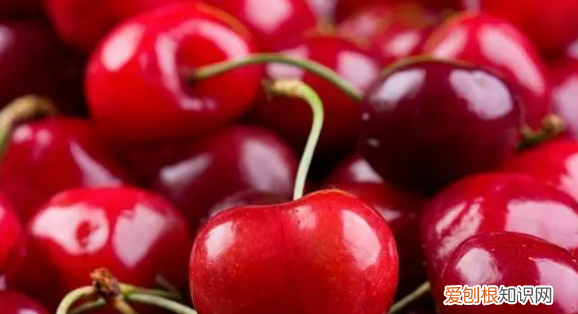 本土樱桃和车厘子对比,车厘子和樱桃的营养价值一样