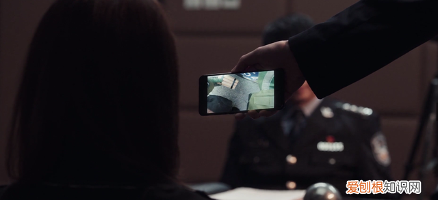 扫黑风暴高明远为什么领养郑毅红