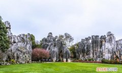 云南石林大理洱海2日游多少钱 昆明石林大理洱海旅游攻略