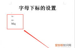 word字母下标怎么打，word怎样给字母打下标