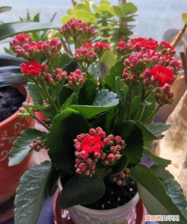 沉鱼落雁是什么修辞手法