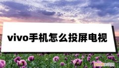 vivo手机怎么投屏电视?你或许需要这两个方法吗