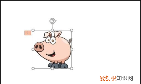 怎么设置效果，ppt动画效果怎么设置先后顺序