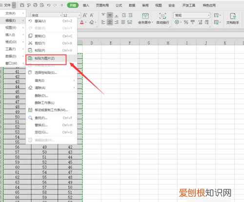 excel表怎样截长图，excel表格里怎么截长图到微信里