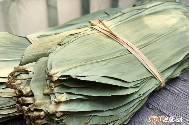 包粽子粽叶要破怎么办,包粽子粽叶提前怎么处理