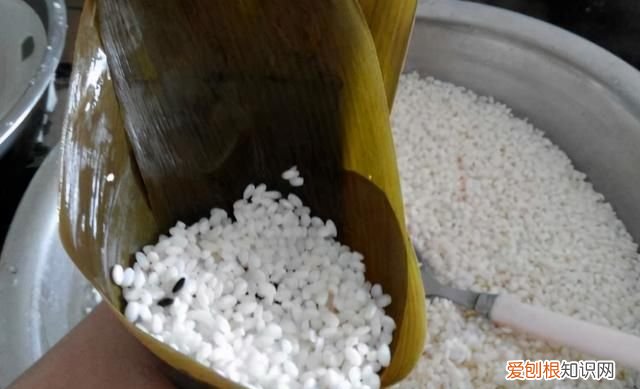 包粽子粽叶要破怎么办,包粽子粽叶提前怎么处理