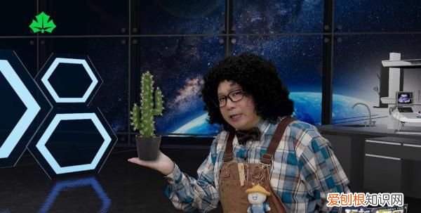 坐飞机为何不祝“一路顺风”?电吹风辐射比手机大多了?科普求证式课程上电视