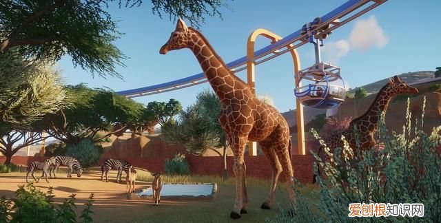 steam经营游戏推荐动物园之星