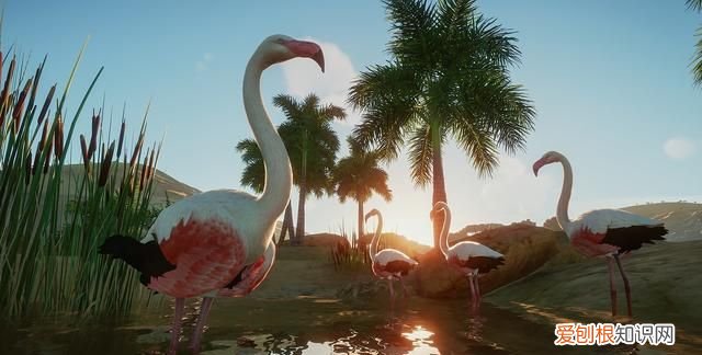 steam经营游戏推荐动物园之星